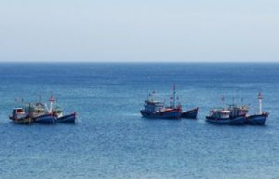 Vietnam steps up measures to combat illegal fishing