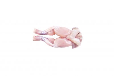 Frozen Frog Legs Belly On, Saddle On