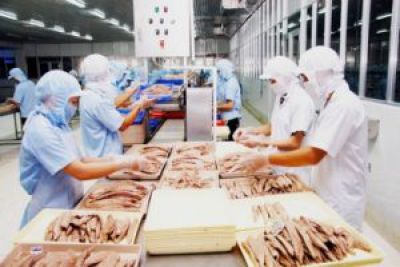 XK cá ngừ đóng hộp của Việt Nam sang Mỹ tăng
